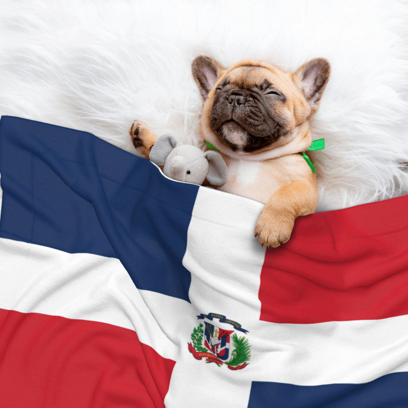Flannel Throw Dog Blanket Dominican Republic Flag Soft Warm Print Pet Blankets for Small Dog Cat Puppy