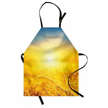 

Yellow and Blue Apron Sunset over Harvest Wheat Nature Rural Field Autumn Landscape Unisex Kitchen Bib Apron with Adjustable Neck for Cooking Baking Gardening Earth Yellow Petrol Blue by Ambesonne