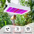 thumbnail image 4 of Luces LED de cultivo Supervitae de 1000 W, espectro completo, x2 con acceso, 4 of 7