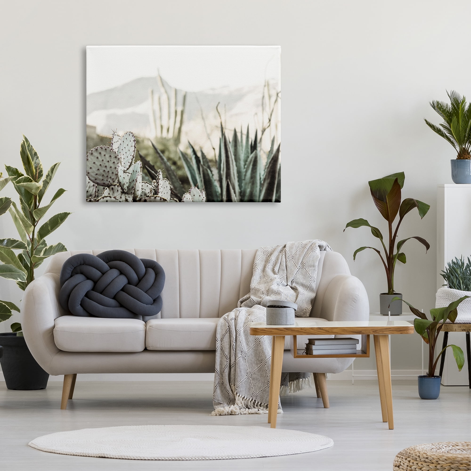 Stupell Industries Desert Cacti Photography Landscape Photography Gallery Wrapped Canvas Art Print Wall Art, 48 x 36
