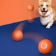 thumbnail image 4 of Bsvklp Pelota Interactiva para Pelota Activada Por Automático para Regalo (naranja), 4 of 9