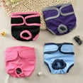 thumbnail image 3 of CNKOO Pet Dog Sanitary Physiological Pants Anti-Harassment Pants For Small  Medium Large Dogs Female Dog Solid Shorts Diaper  Washable Reusable Menstrual Care Pet Pants, 3 of 6