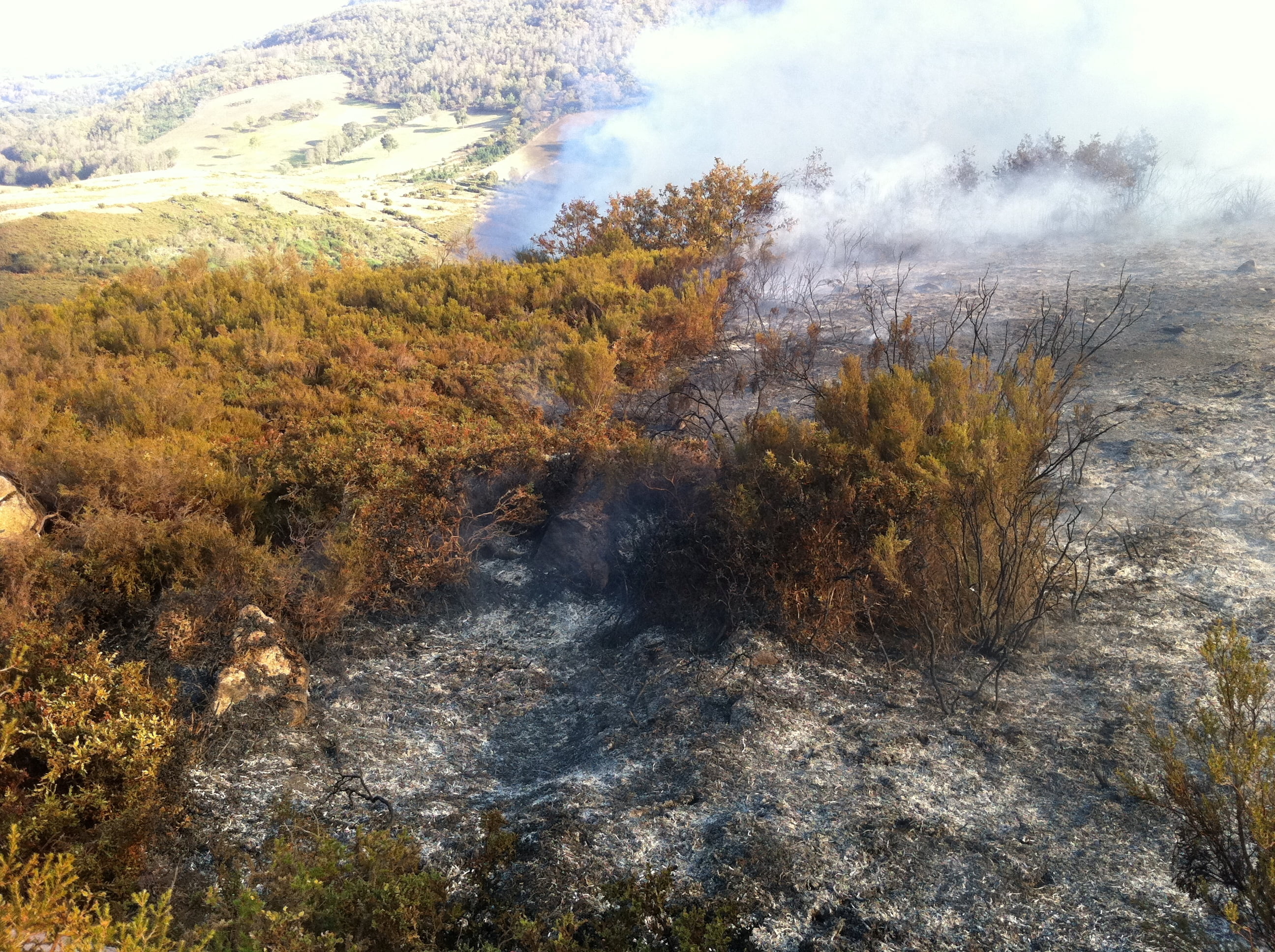 HOME PROTECTION - WILDFIRE SUPPRESSANT FS-01: Non-Toxic and Biodegradable Fire Suppressant