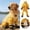 Yellow, variant on Forestwhale Dog Winter Coat with Integrated Boots Quilted Insulated Full-Body Jumpsuit with Reflective Stripes for Small to Medium Dogs Outdoor Walks Yellow - XL