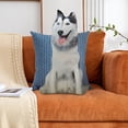 thumbnail image 3 of Lindo juguete de peluche Animal relleno perro durmiendo almohada linda figura juguetes suave para Husky siberiano Zulema Juguetes de peluche, 3 of 7