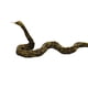 thumbnail image 2 of Figura de serpiente artificial, juguete de broma terrorífico para fiestas de Halloween para niños. Largo, 2 of 2