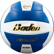 Perfection Leather Volleyball NFHS Stamped