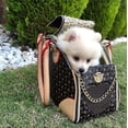 thumbnail image 2 of Luxury Pet Carrier, Puppy Small Dog Carrier, Cat Carrier Bag, Waterproof Premium PU Leather Carrying Handbag for Outdoor Travel Walking Hiking Shoppin, 2 of 5