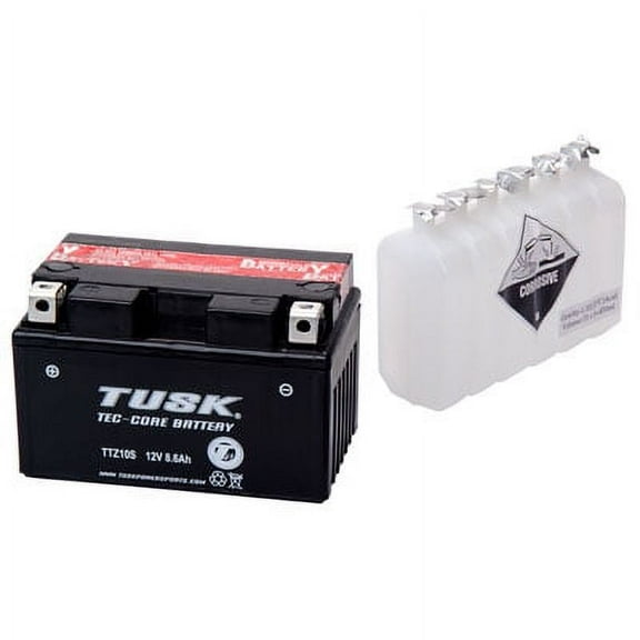 Tec-Core Battery with Acid TTZ10SBS Maintenance-Free for Honda Shadow 600 VLX VT600C 2004-2007