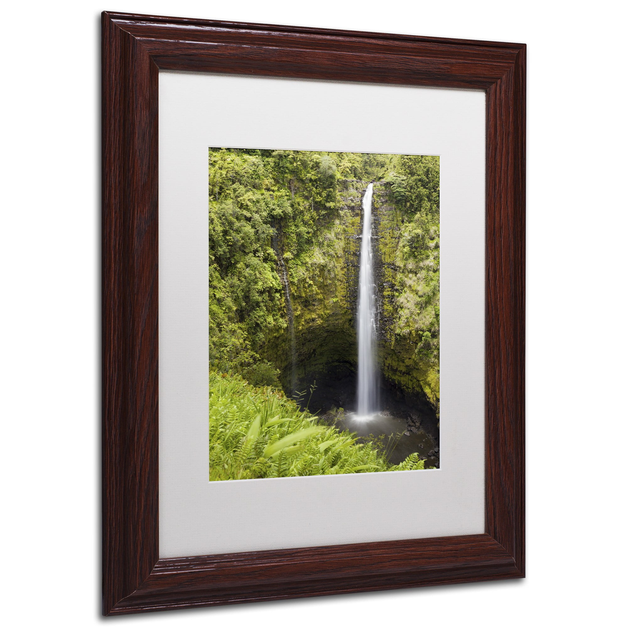 Chris Moyer 'Akaka Falls' Matted Framed Art