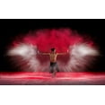 thumbnail image 2 of Aditya, Rawisyah 18x13 White Modern Wood Framed Museum Art Print Titled - Powder Wings, 2 of 4