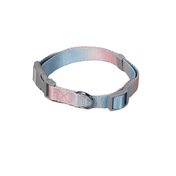 Gradient color pet leash, outdoor dog walking leash set, including collar and harness, suitable for small and medium-sized dogs.