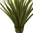 thumbnail image 2 of Nearly Natural 5' Spiked Agave Tree, 2 of 3