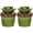 Green, variant on 5.5" Ceramic Plant Decorate-Color:Green,Style:Naturalistic