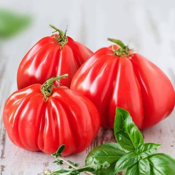 Ruffled Tomato Seeds - 25 Seeds to Grow - Exotic Heirloom Vegetable Seeds for Planting - Non-GMO