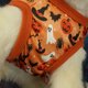 thumbnail image 2 of Vestido para perros vestido de una pieza para perros de Halloween agradable para la piel cómodo fácil de limpiar estampado para gatos ANGGREK Otros, 2 of 7