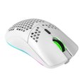 thumbnail image 2 of RGB Wireless Ambidextrous Lightweight Honeycomb Gaming Mouse, 2 of 5