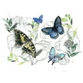 thumbnail image 2 of Parker, Jennifer Paxton 18x15 White Modern Wood Framed Museum Art Print Titled - Watercolor Butterfly Collection A, 2 of 4