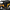 Yellow, variant on New Bright (1:24) Chevy Blazer Battery Remote Control Green Truck, 2424-8G Child