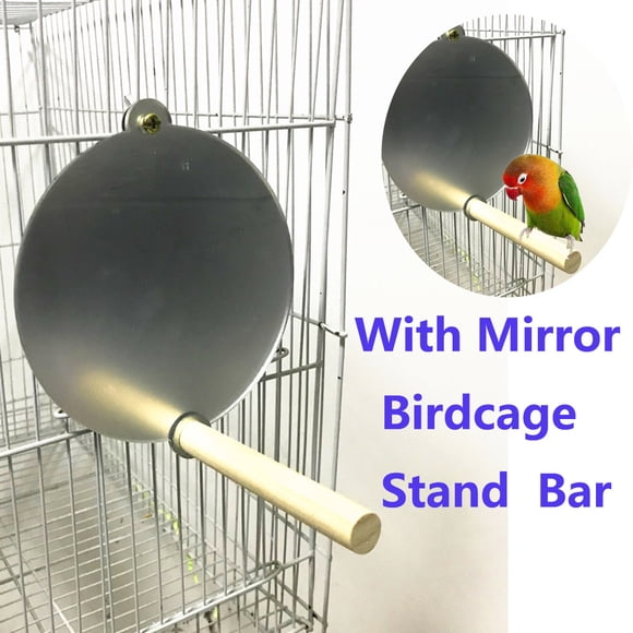Daisyyozoid Jouets d'Oiseaux en Gros Nouveaux Miroir à Mâcher Terrain de Jeu Cacatoès Oiseaux Jouet Suspendu