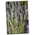 thumbnail image 2 of Gango Home Decor Cut Lavender I by Karyn Millet (Ready to Hang); One 24x36in Hand-Stretched Canvas, 2 of 4