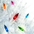 thumbnail image 2 of Holiday Time Indoor and Outdoor Multicolor Mini Christmas Lights, 59', 300 Count, White Wire, 2 of 4