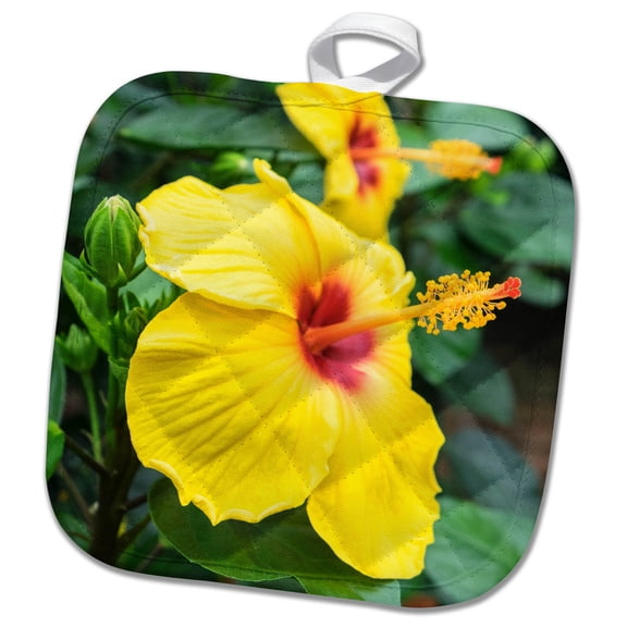3dRose, Sunny Wind, Hibiscus, Usa, 8x8 Potholder