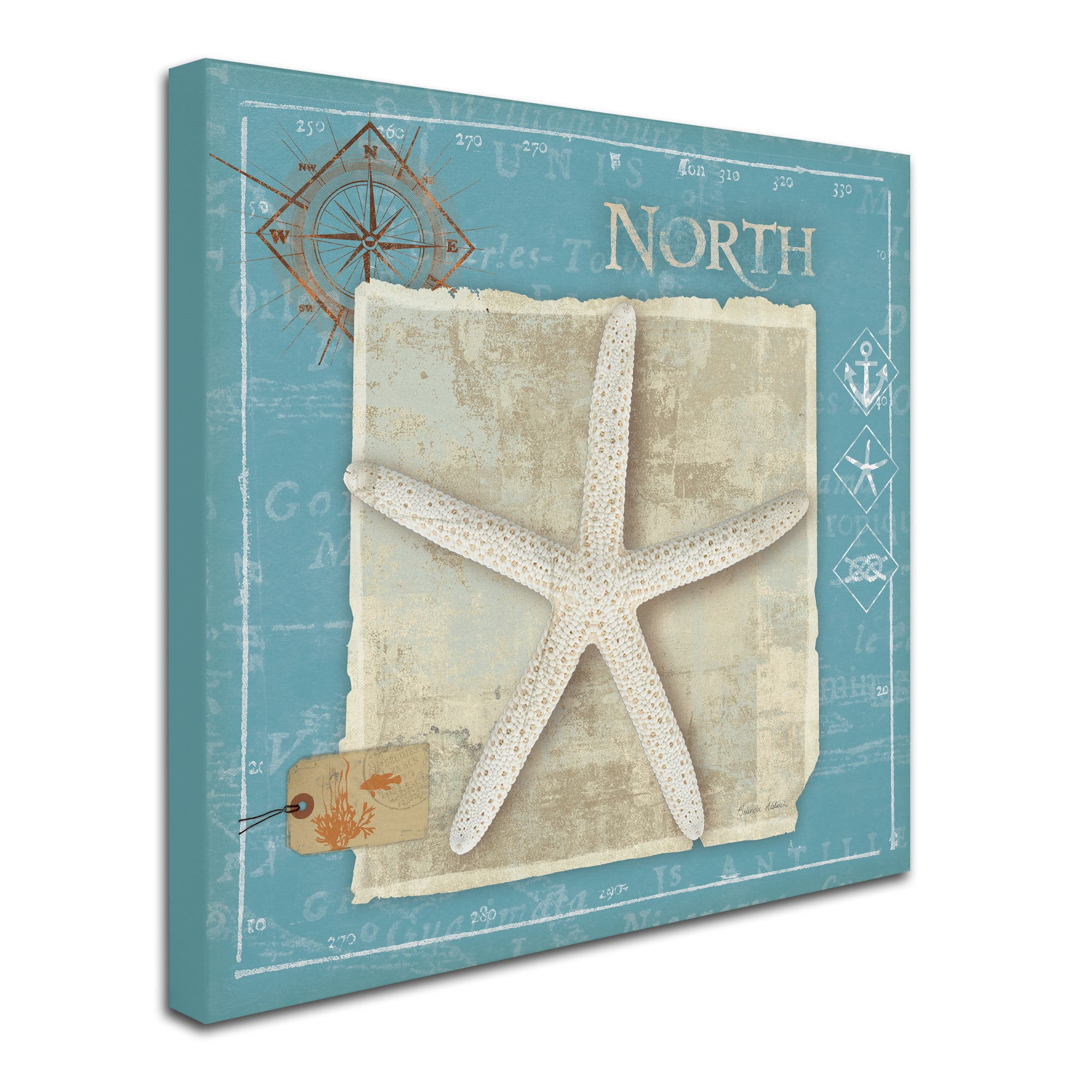 Trademark Fine Art "Points North" Canvas Art by Belinda Aldrich