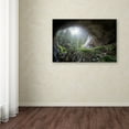 thumbnail image 3 of Esm�e Prexus 'Peek To Heaven' Canvas Art, 3 of 3