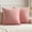 Pink B, variant on Knubmt Set of 2 Soft Velvet Pillow Covers Solid Decorative Square Pillowcase for Sofa Couch Bed Chair, 16x16inch