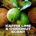 thumbnail image 5 of Axe Kilo Refreshing Long Lasting Men's Body Wash All Skin Kaffir Lime & Coconut, 16 oz, 5 of 12