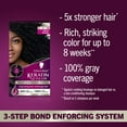 thumbnail image 5 of Schwarzkopf Keratin Hair Dye 1.0 Black Onyx, Permanent Hair Color, 1 Use, 5 of 12