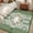 Green, variant on 3ft Round Rug, Sage Green Boho Non-Skid Rubber Backing Large Area Rugs - Living Room Bedroom Home Office, American Native Southwest Abstract Art Indoor Floor Mat Carpets Washable Rug
