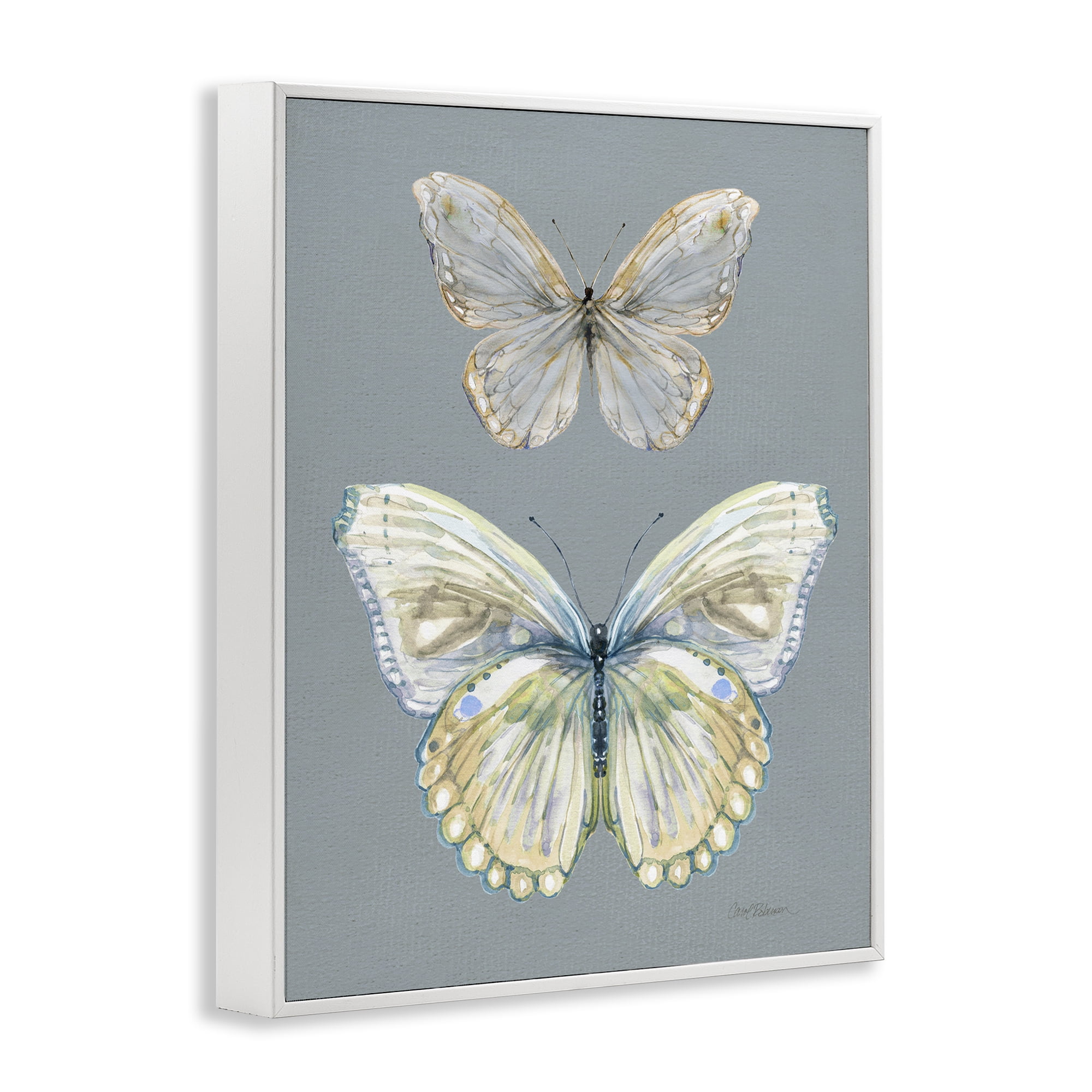 Stupell Industries Butterfly Pair Study White Framed Giclee Art, design by Carol Robinson