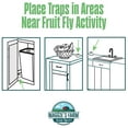 thumbnail image 5 of Maggie's Farm Indoor Fruit Fly Trap - Child-Resistant, Liquid - 2 Traps, 5 of 5