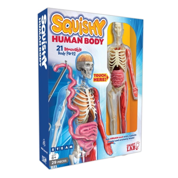 Smart Lab Squishy Human Body Kit Walmart Com Walmart Com