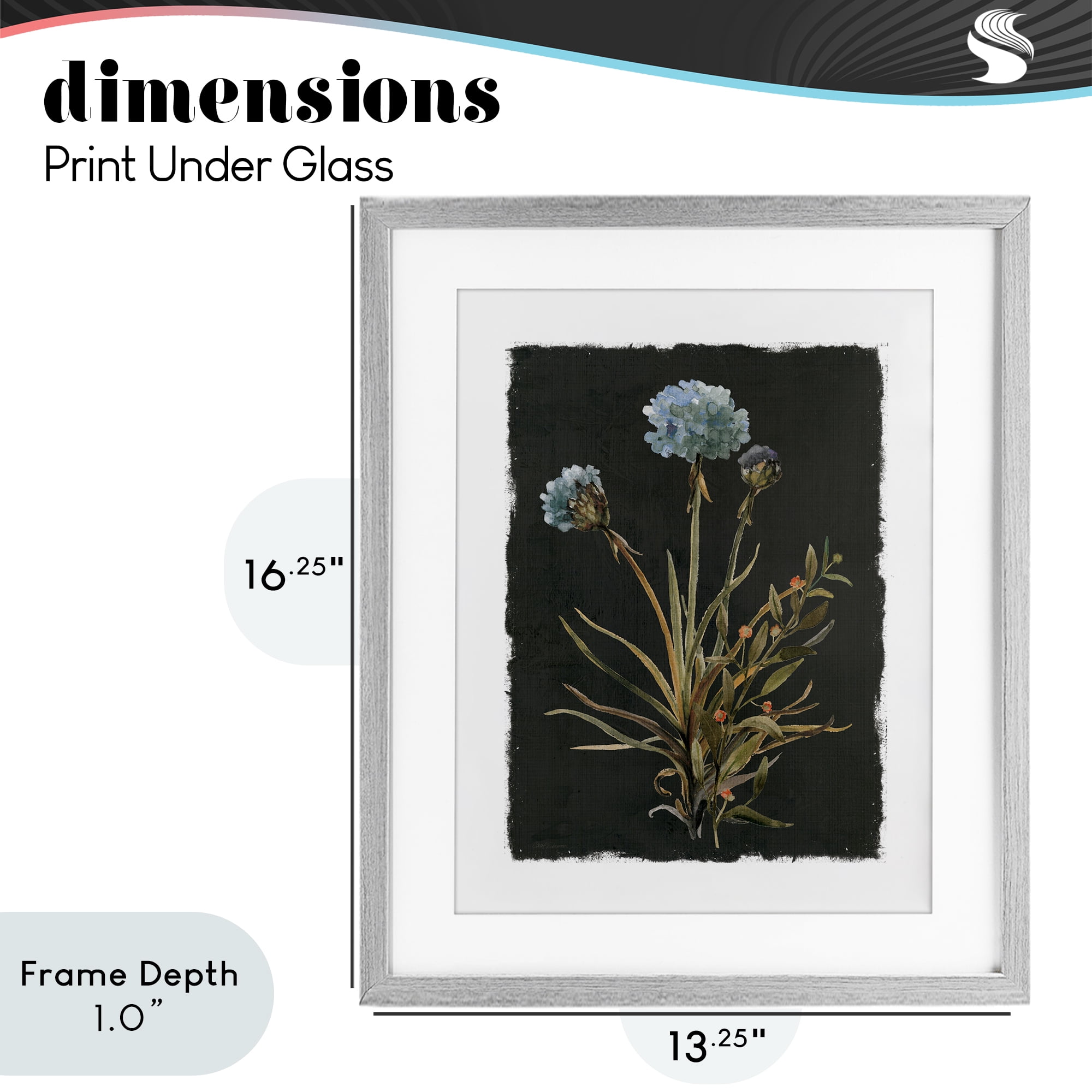 Stupell Industries Cerulean Bloom on Dark Green Gray Framed Print Under Glass, design by Carol Robinson