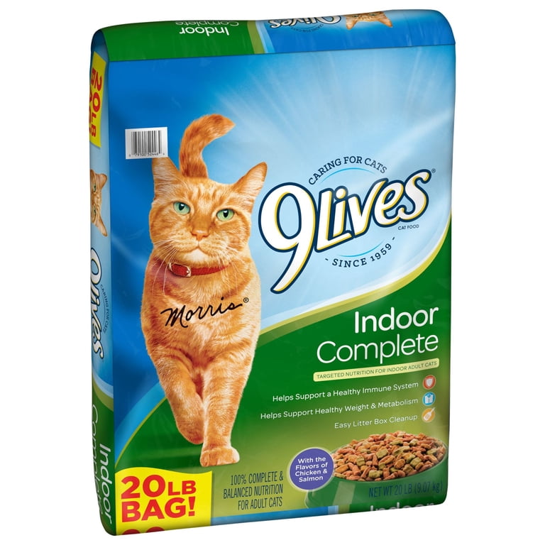 9Lives Indoor Complete Dry Cat Food with Chicken and Salmon Flavor
