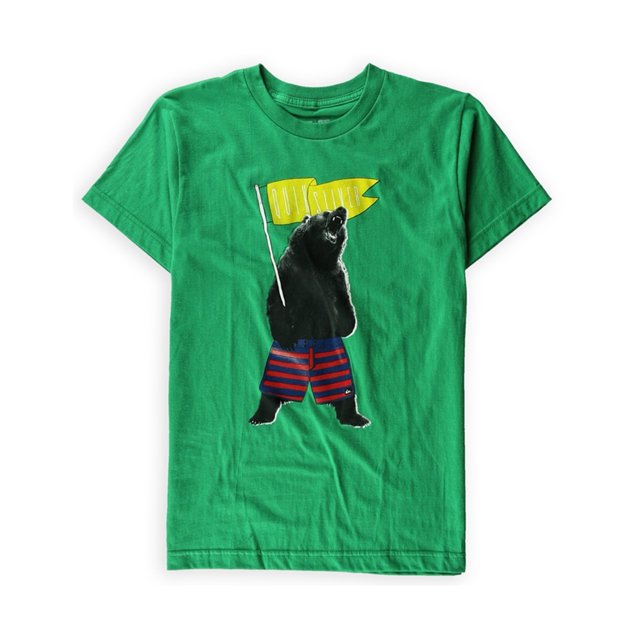 Camiseta Gráfica Quiksilver Boys Champs Verde XL (16)