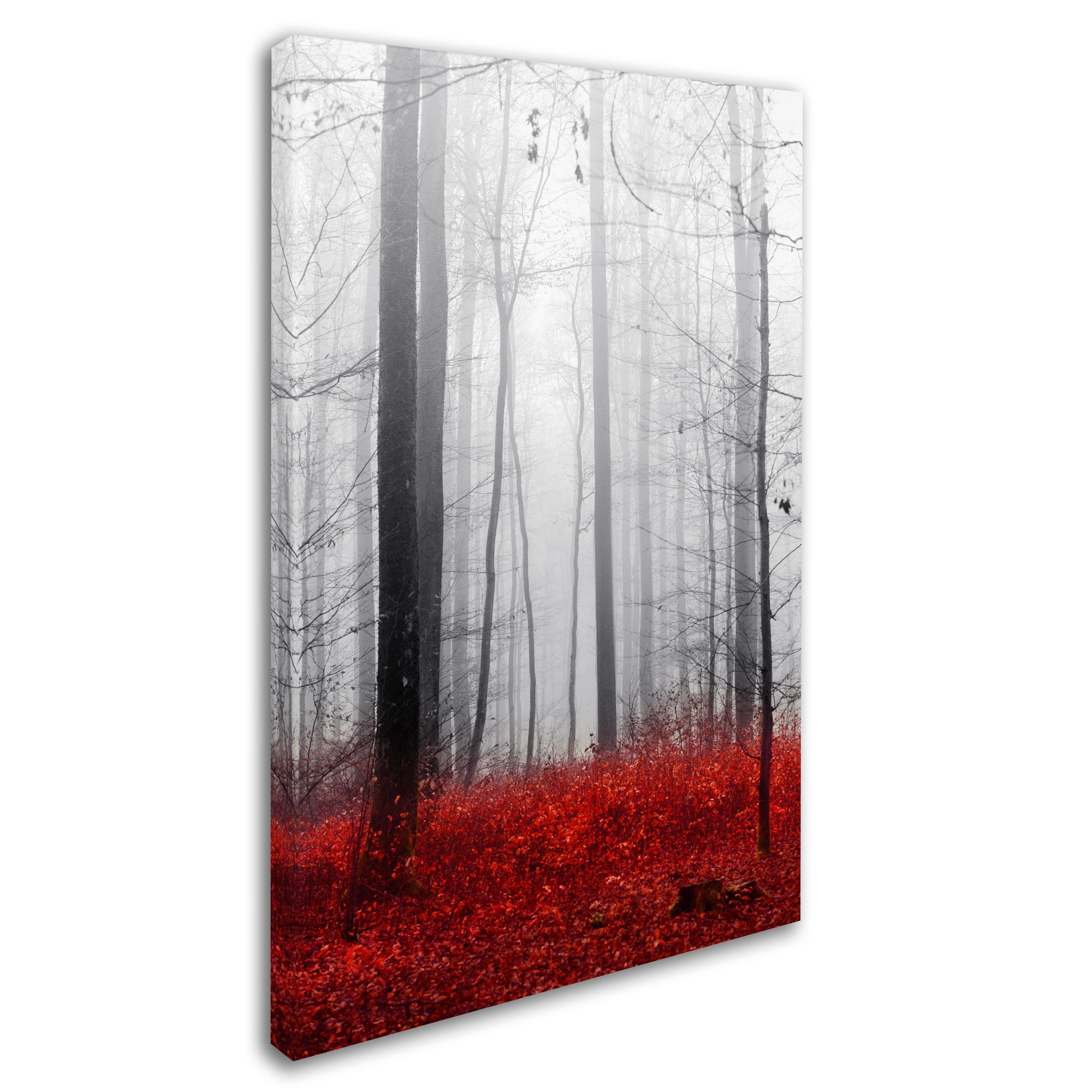 Trademark Fine Art "Little Red Carpet" Canvas Art by Philippe Sainte-Laudy