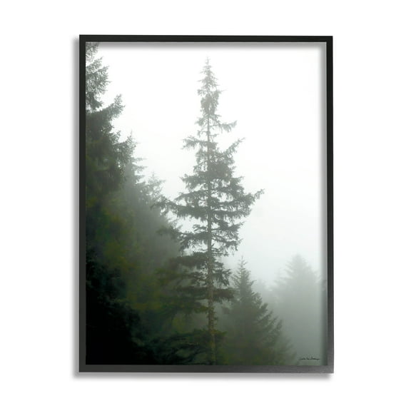 Stupell Industries Majestic Pine Foggy Forest Photograph Black Framed Art Print Wall Art, Design by Debra Van Swearingen