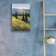 thumbnail image 3 of Epic Art 'Purple Mountain Majesty II' by Tim O'Toole, Acrylic Glass Wall Art, 16"x24", 3 of 3