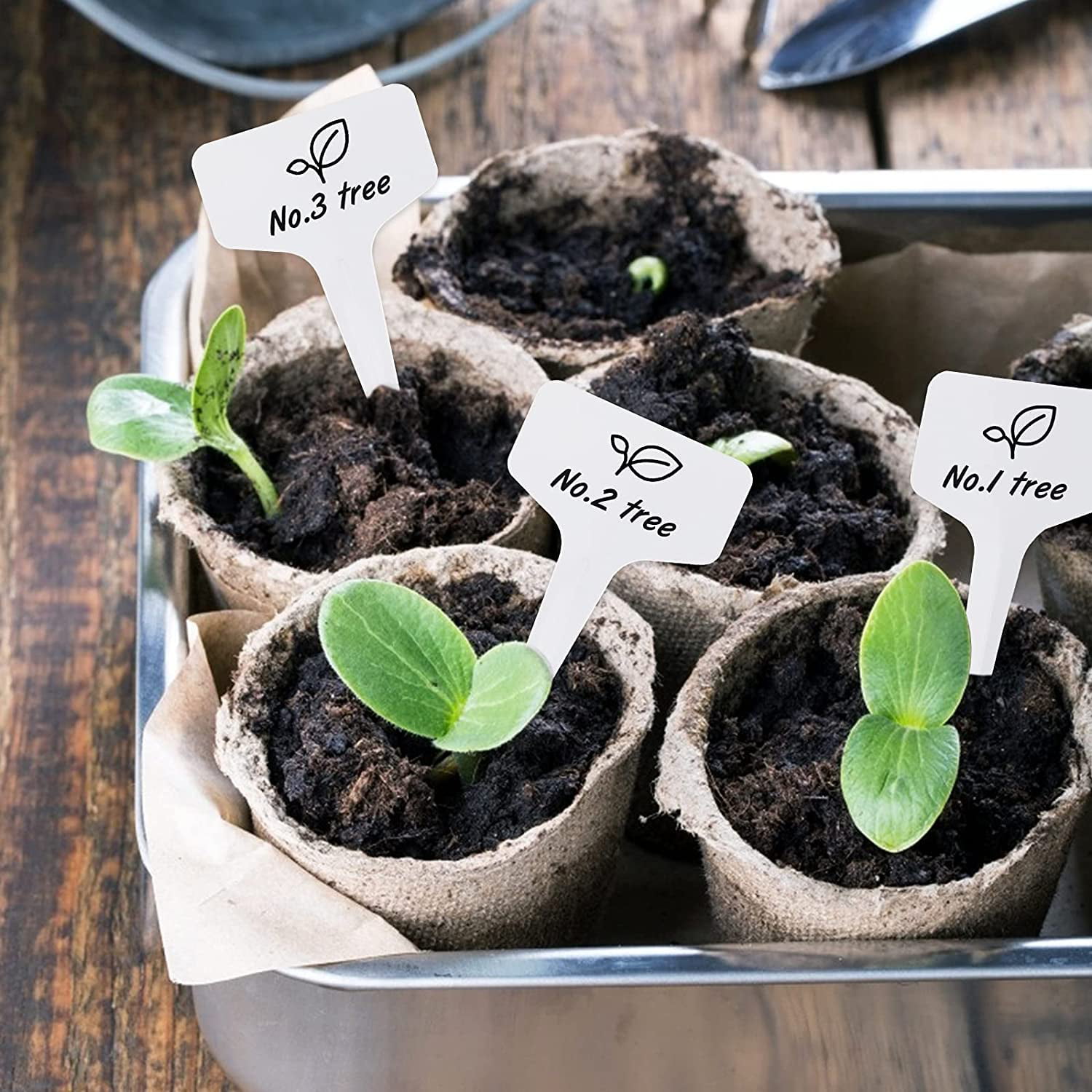 100Pcs Mini Plastic Plant Seed Labels Pot Marker Nursery Garden useable 