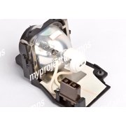 Knoll Systems TLPLMT5A Projector Lamp with Module