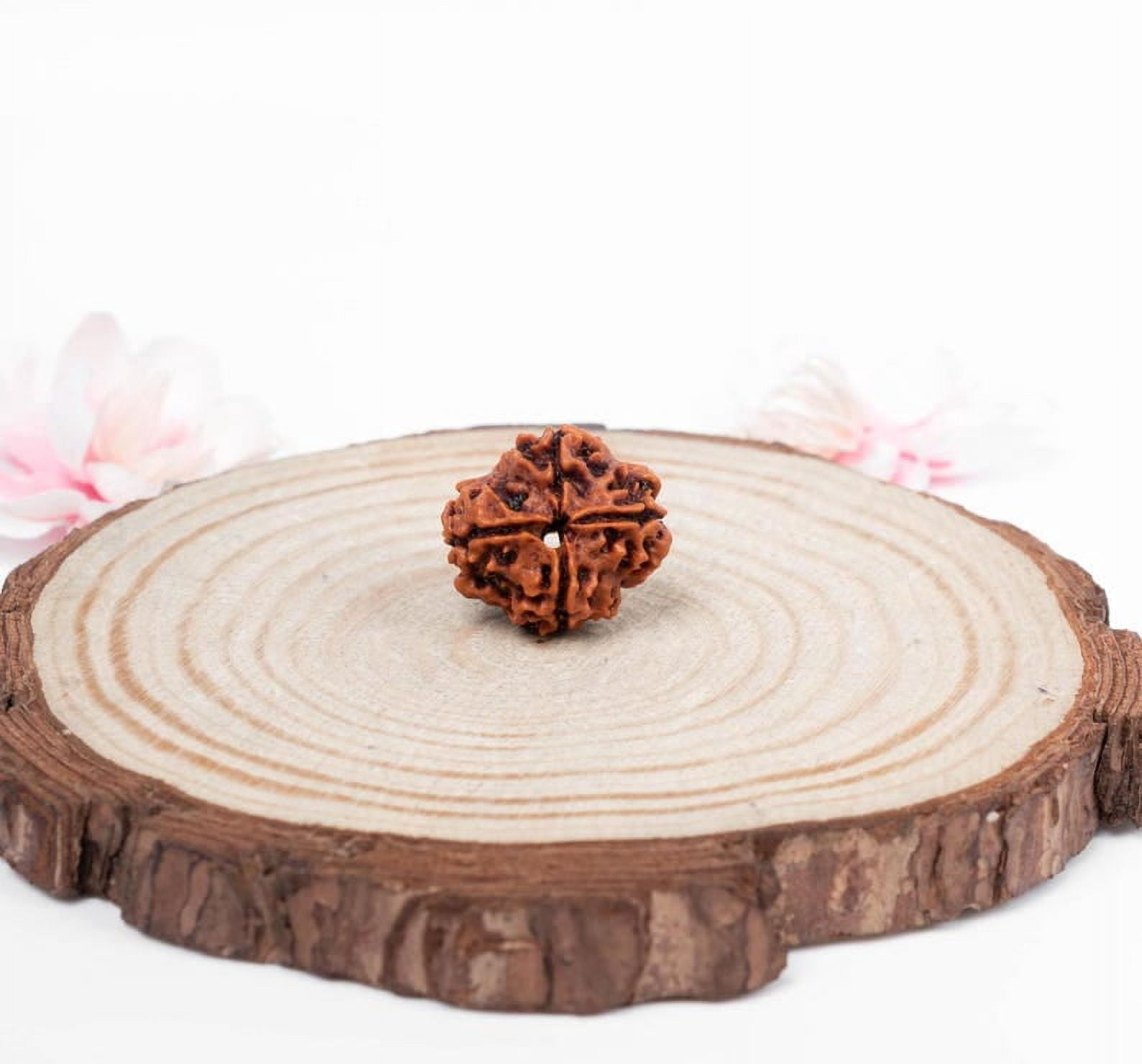 Navratan Gems Certified Authentic 4 Mukhi Nepali Rudraksha|Genuine Four-Faced Rudraksha Bead for Men & Women
