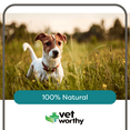 thumbnail image 6 of Vet Worthy Potty Rocks for Dogs - Paramagnetic Igneous Dog Rocks Mined in USA - Dog Urine Neutralizer for Lawn - Helps Filter Out Impurities, Keeps Green Grass & Dog Pee Odor Eliminator - 8.8 oz, 6 of 8