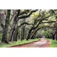 thumbnail image 3 of Head, Danny 24x17 Black Modern Framed Museum Art Print Titled - Dirt Road II, 3 of 5