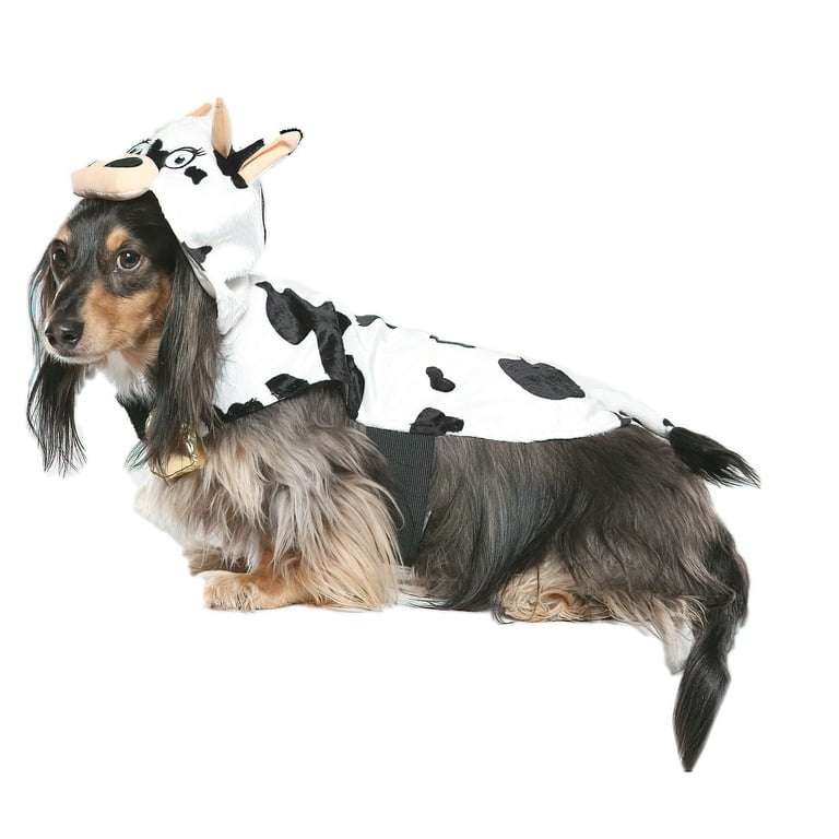 Dog in top cow costume