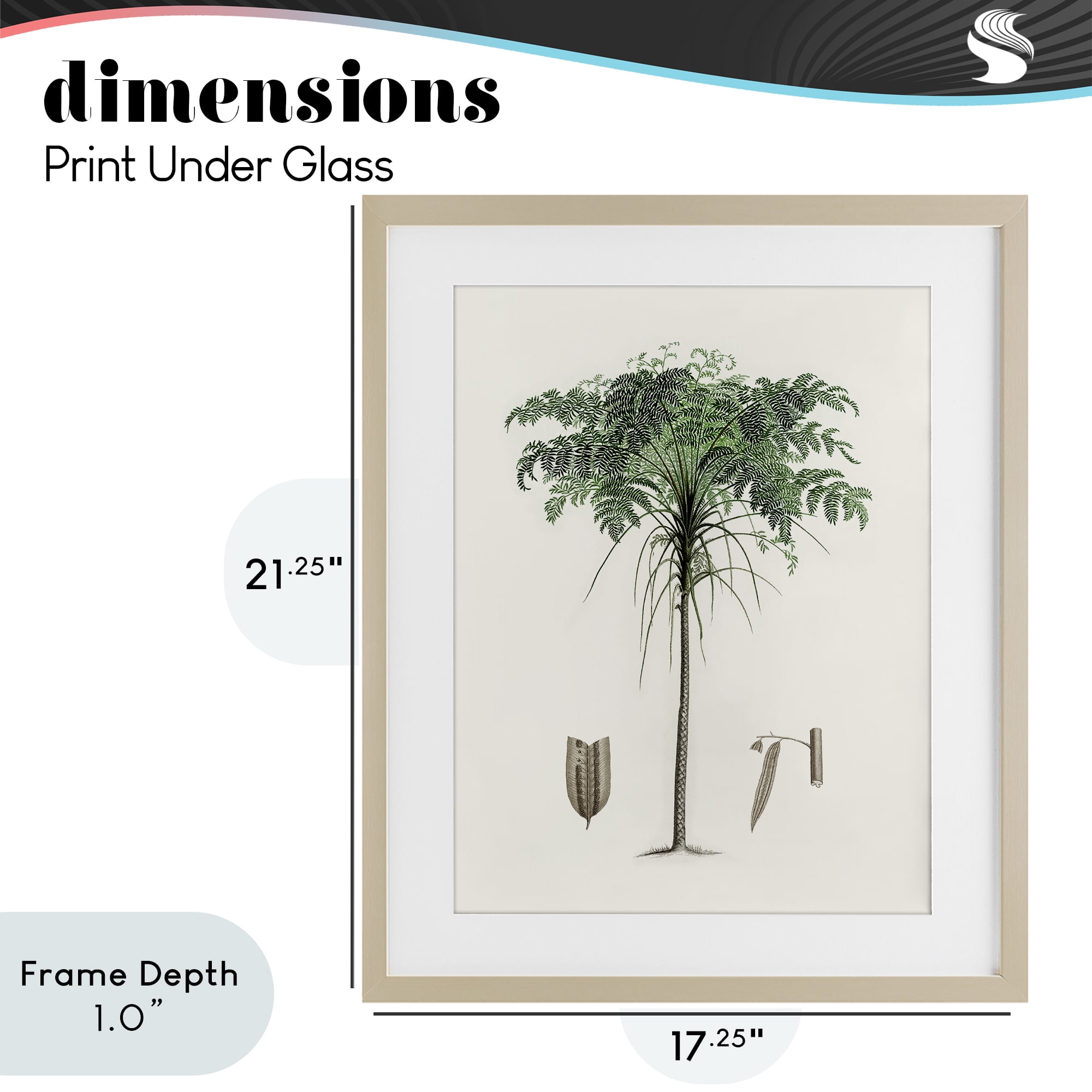 Stupell Industries Vintage Palm Leaves Birch Framed Print Under Glass, design by Val Rhodes