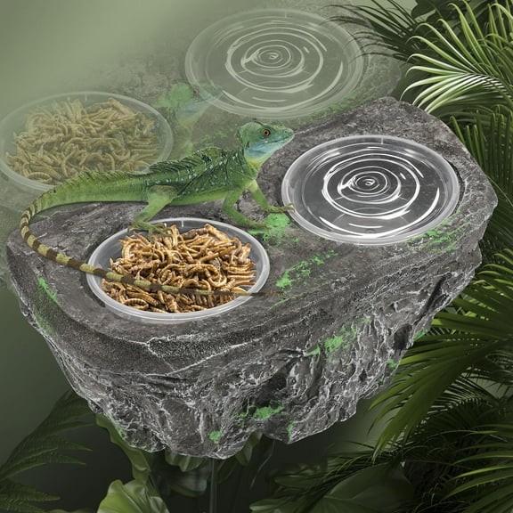 Ikoopy Reptile Food Dish Stable Reptile Feeding Ledge with 2 Feeding Cup Space Saving Gecko Food Dish for Guardian Lizard Chameleon
